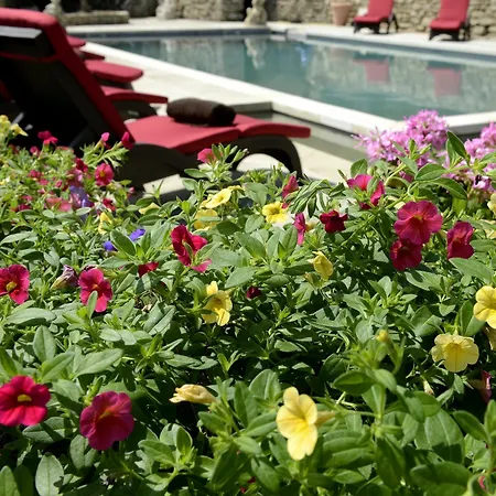 Le Petit Palais D'aglae Hotel 4*